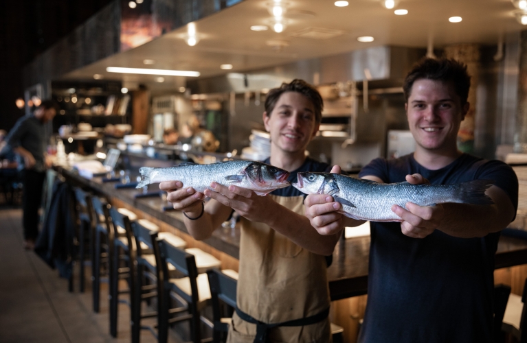 School of Fish Events in Denver Denver Union Station