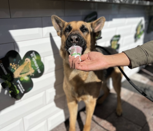 St. Patrick's Day Parade 7